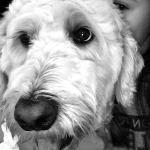 Meet your Posher, Vivian